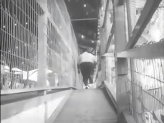 Bukuri 1966 rimorkio: falas trailers e pisët kapëse film fb